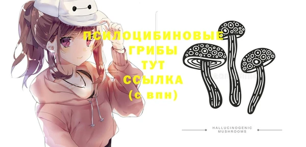 молекула духа Алексин