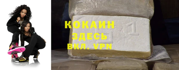 молекула духа Алексин